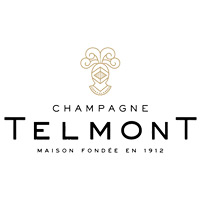 潍坊回收玳慕香槟TELMONT-品牌介绍