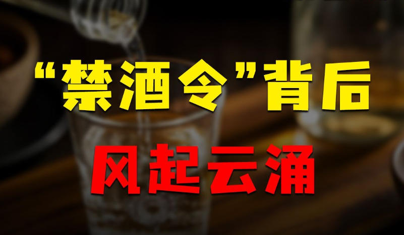 禁酒令对名酒回收价格的深度影响：短期冲击与长期结构性变革